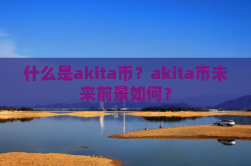 什么是akita币？akita币未来前景如何？