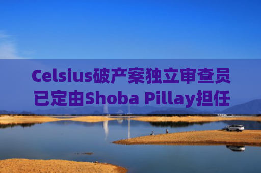Celsius破产案独立审查员已定由Shoba Pillay担任，其将制作Celsius财务状况报告