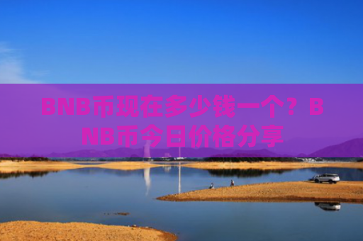 BNB币现在多少钱一个？BNB币今日价格分享