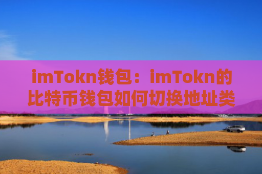 imTokn钱包:imTokn的比特币钱包如何切换地址类型?