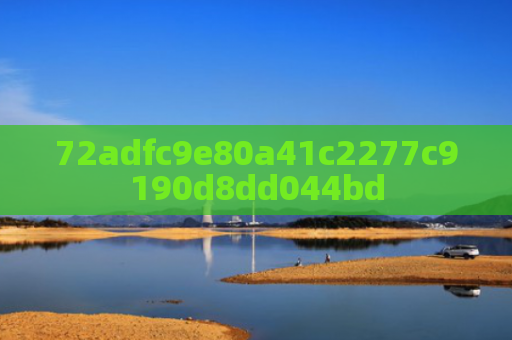 72adfc9e80a41c2277c9190d8dd044bd