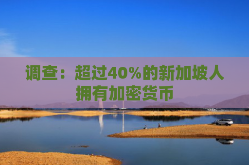 调查：超过40%的新加坡人拥有加密货币