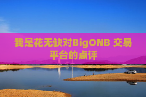 我是花无缺对BigONB 交易平台的点评