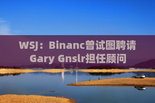 WSJ:Binanc曾试图聘请Gary Gnslr担任顾问