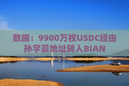 数据：9900万枚USDC经由孙宇晨地址转入BIAN