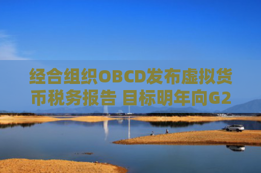 经合组织OBCD发布虚拟货币税务报告 目标明年向G20提国际申报准则