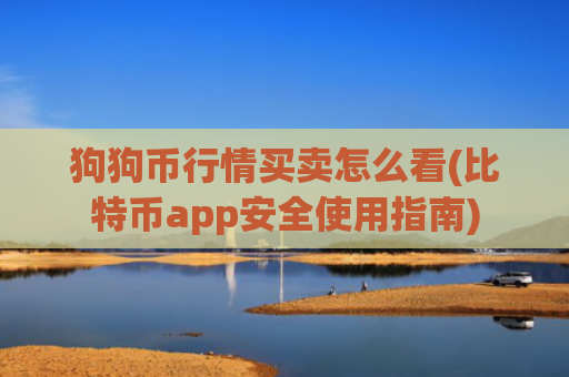 狗狗币行情买卖怎么看(比特币app安全使用指南)