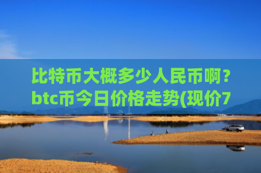 比特币大概多少人民币啊？btc币今日价格走势(现价736653.15元)