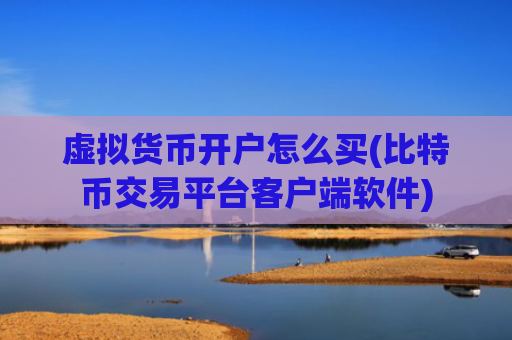 虚拟货币开户怎么买(比特币交易平台客户端软件)