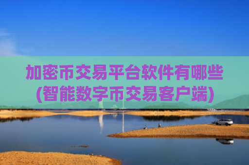 加密币交易平台软件有哪些(智能数字币交易客户端)