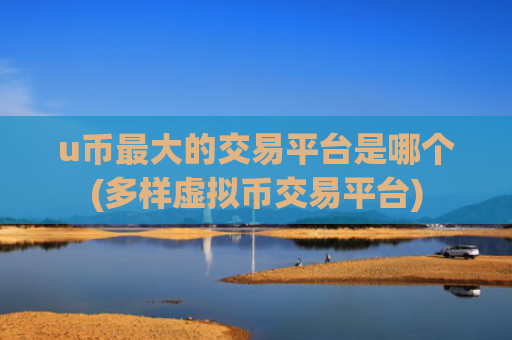 u币最大的交易平台是哪个(多样虚拟币交易平台)
