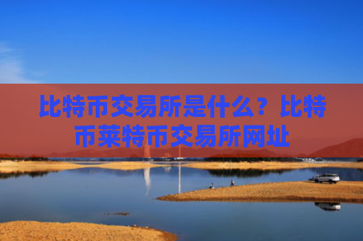 比特币交易所是什么？比特币莱特币交易所网址