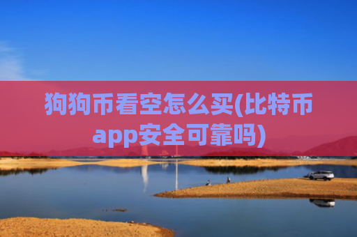 狗狗币看空怎么买(比特币app安全可靠吗)