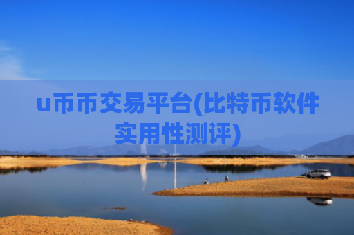 u币币交易平台(比特币软件实用性测评)