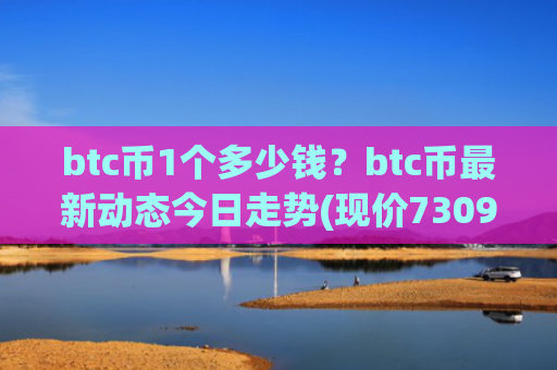 btc币1个多少钱？btc币最新动态今日走势(现价730966.87元)