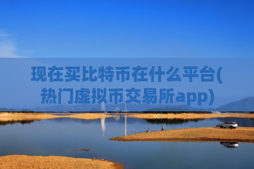 现在买比特币在什么平台(热门虚拟币交易所app)