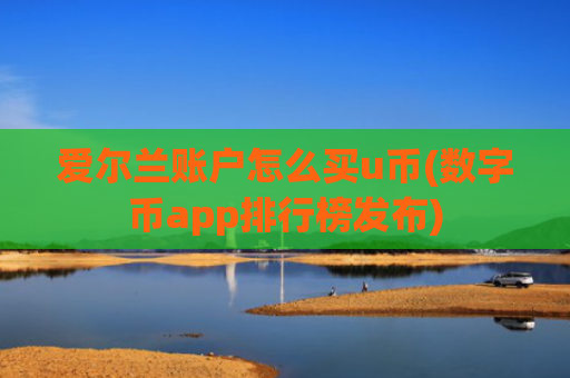 爱尔兰账户怎么买u币(数字币app排行榜发布)