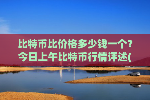比特币比价格多少钱一个？今日上午比特币行情评述(现价727882.7元)