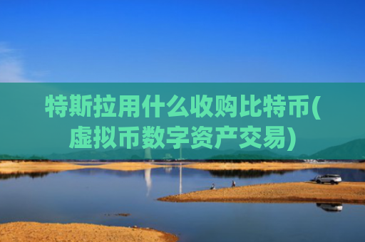 特斯拉用什么收购比特币(虚拟币数字资产交易)