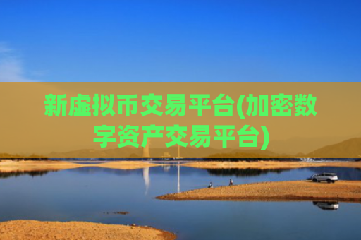 新虚拟币交易平台(加密数字资产交易平台)