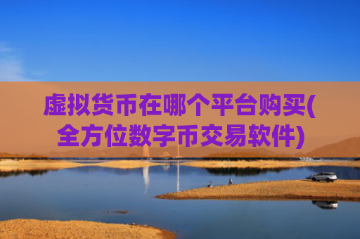 虚拟货币在哪个平台购买(全方位数字币交易软件)