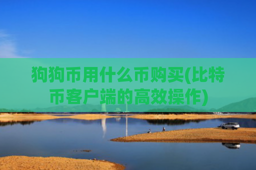 狗狗币用什么币购买(比特币客户端的高效操作)