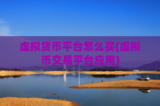 虚拟货币平台怎么买(虚拟币交易平台应用)