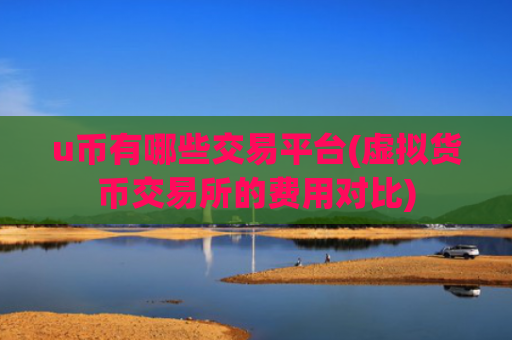 u币有哪些交易平台(虚拟货币交易所的费用对比)