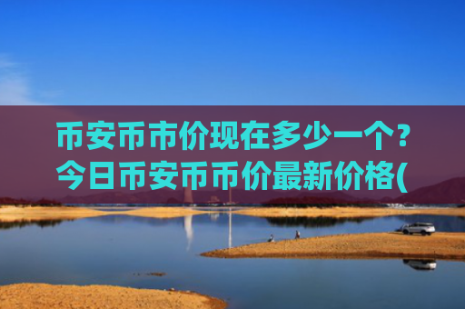 币安币市价现在多少一个？今日币安币币价最新价格(现价5323.33元)