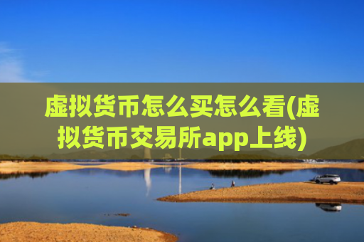 虚拟货币怎么买怎么看(虚拟货币交易所app上线)
