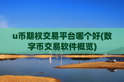 u币期权交易平台哪个好(数字币交易软件概览)