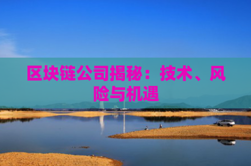 区块链公司揭秘:技术、风险与机遇