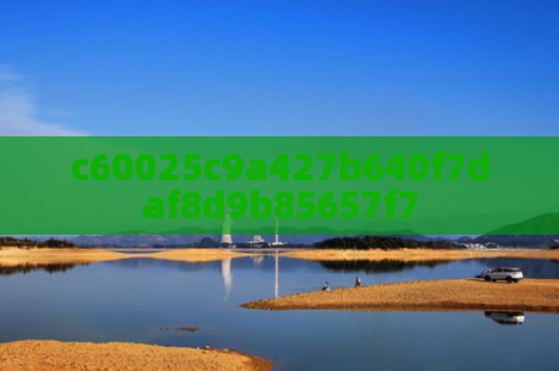 c60025c9a427b640f7daf8d9b85657f7