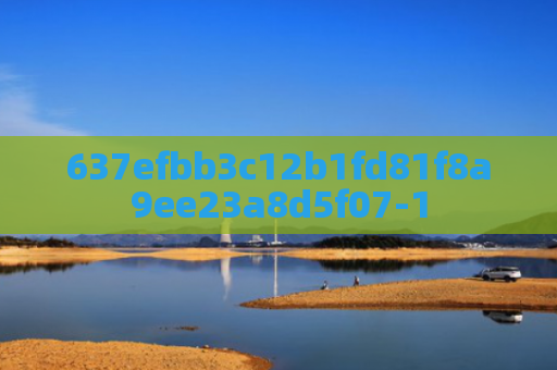 637efbb3c12b1fd81f8a9ee23a8d5f07-1