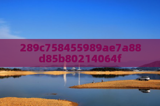 289c758455989ae7a88d85b80214064f