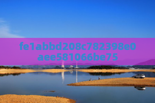 fe1abbd208c782398e0aee581066be75