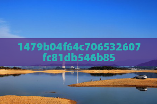 1479b04f64c706532607fc81db546b85
