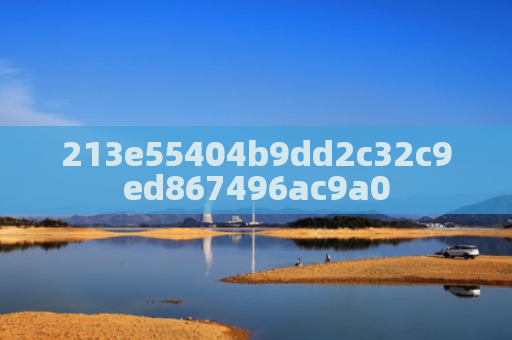 213e55404b9dd2c32c9ed867496ac9a0