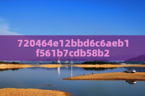 720464e12bbd6c6aeb1f561b7cdb58b2