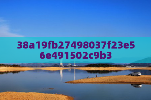 38a19fb27498037f23e56e491502c9b3