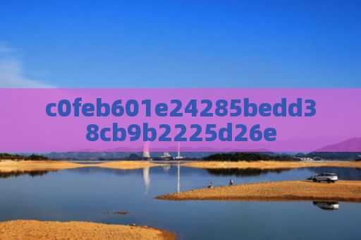c0feb601e24285bedd38cb9b2225d26e