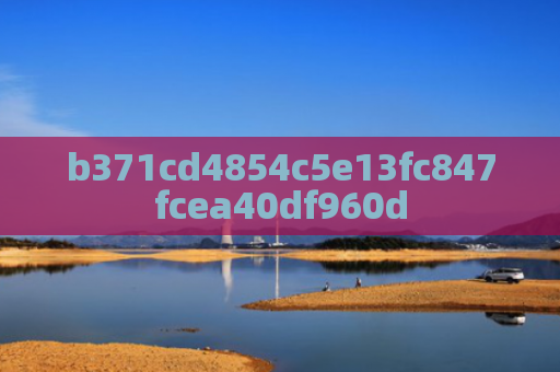 b371cd4854c5e13fc847fcea40df960d