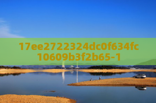 17ee2722324dc0f634fc10609b3f2b65-1
