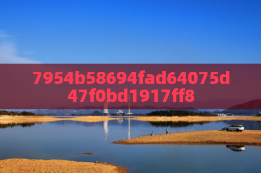 7954b58694fad64075d47f0bd1917ff8