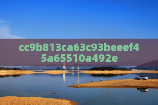 cc9b813ca63c93beeef45a65510a492e