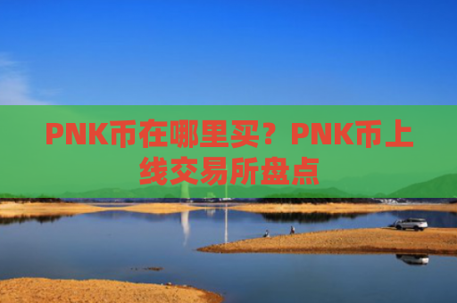 PNK币在哪里买？PNK币上线交易所盘点