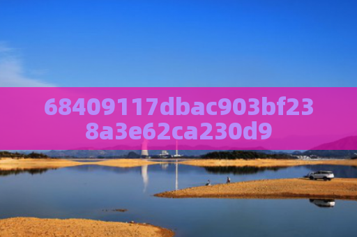 68409117dbac903bf238a3e62ca230d9