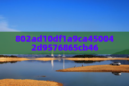 802ad10df1a9ca450042d9576865cb46