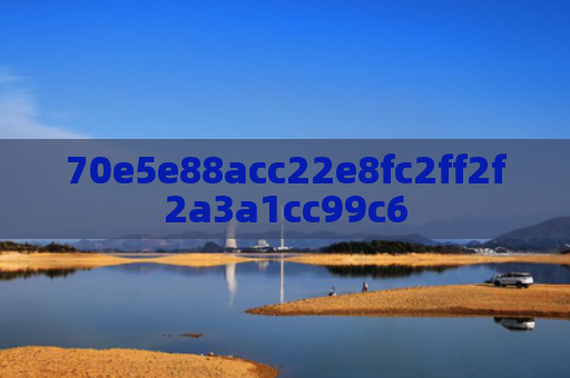 70e5e88acc22e8fc2ff2f2a3a1cc99c6
