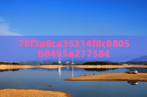 78f3a8ca35314f8c0805b8495a277584